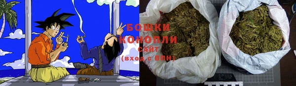ECSTASY Богородск