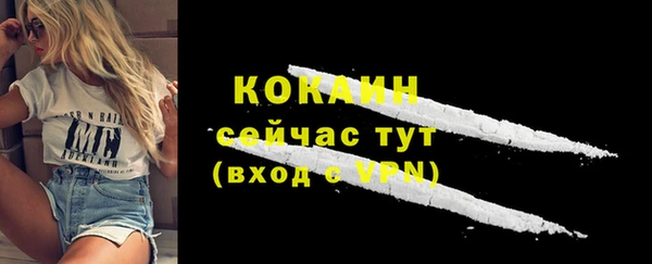 МДПВ Богородицк