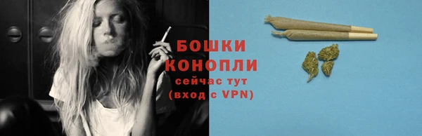 МДПВ Богородицк
