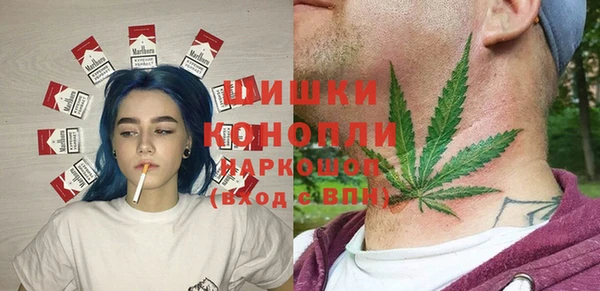 МДПВ Богородицк