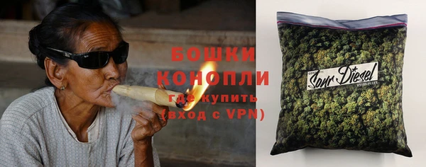 МДПВ Богородицк