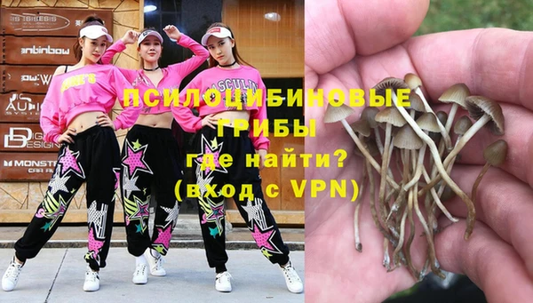МДПВ Богородицк