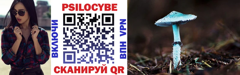 Псилоцибиновые грибы Psilocybine cubensis  mega   Чаплыгин 